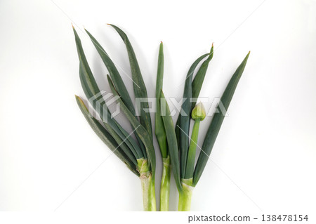 Fresh green onion 138478154