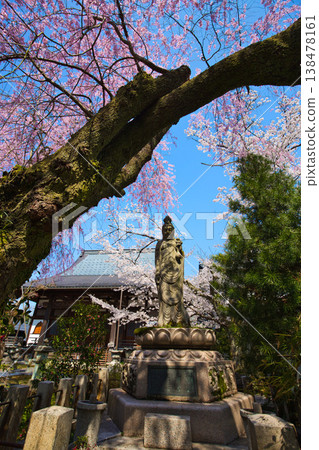 Spring has arrived on the temple grounds. Spring has arrived on the temple grounds. 138478161