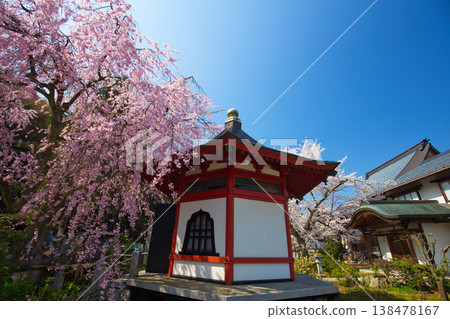 Spring has arrived on the temple grounds. 138478167