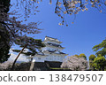 日本的春天：小田原城天守閣與櫻花 138479507