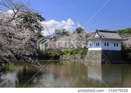 Spring in Japan: Odawara Castle's keep and cherry blossom trees Spring in Japan: Odawara Castle's keep and cherry blossom trees 138479508