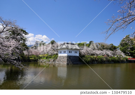 Spring in Japan: Odawara Castle's keep and cherry blossom trees Spring in Japan: Odawara Castle's keep and cherry blossom trees 138479510