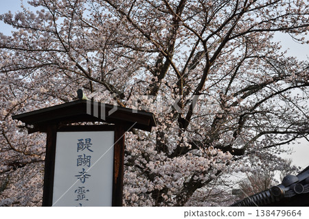 Cherry blossoms in front of the Reihokan (Treasure Hall) at Daigo-ji Temple (Fushimi Ward, Kyoto City) 138479664