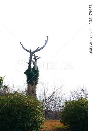 Ban-dake Park on Ojika Island, Goto Islands, Nagasaki Prefecture Ban-dake Park on Ojika Island, Goto Islands, Nagasaki Prefecture 138479671