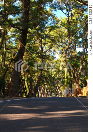 姬之松原和長崎縣五島列島小治島上獅子神社的寶劍 138480212