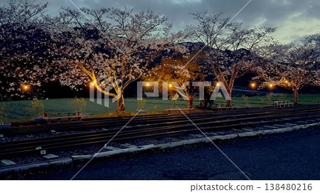 Cherry trees lining the former Japanese National Railways station site 138480216