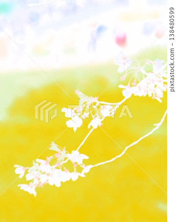 When you see flowers and feel the arrival of spring When you see flowers and feel the arrival of spring 138480599