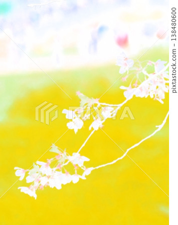 When you see flowers and feel the arrival of spring When you see flowers and feel the arrival of spring 138480600