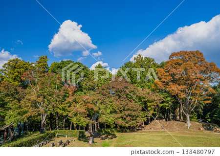 從靜岡縣濱松市眺望二又城遺址 從靜岡縣濱松市眺望二又城遺址 138480797