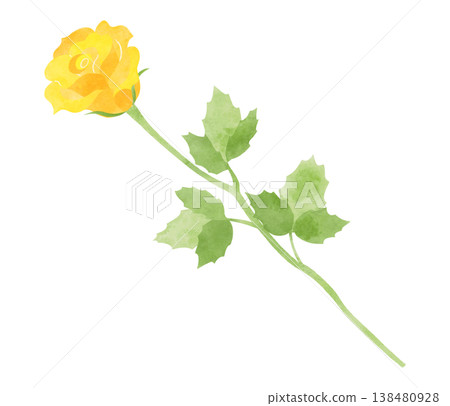 Illustration of a yellow rose, watercolor style. Illustration of a yellow rose, watercolor style. 138480928