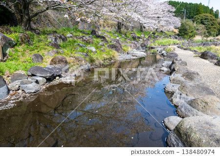菊池市著名的賞櫻地點 菊池市著名的賞櫻地點 138480974