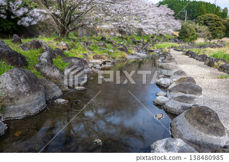 菊池市著名的賞櫻地點 菊池市著名的賞櫻地點 138480985