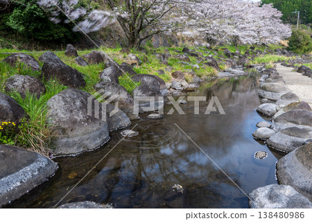 菊池市著名的賞櫻地點 菊池市著名的賞櫻地點 138480986