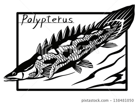Look at this fish, it's a dinosaur, right? A cool paper-cut collage illustration of a Polypterus. 138481050