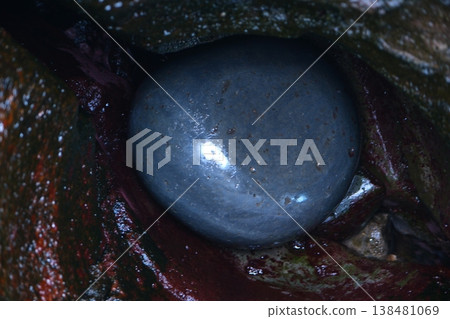 Potholes on Ojika Island, Goto Islands, Nagasaki Prefecture 138481069