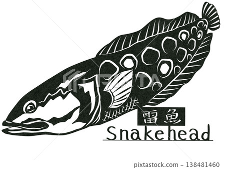 這是一幅令人毛骨悚然的剪紙拼貼畫,描繪了一條蛇頭魚,這是一種入侵物種,可能會吃光日本所有的魚類。 這是一幅令人毛骨悚然的剪紙拼貼畫,描繪了一條蛇頭魚,這是一種入侵物種,可能會吃光日本所有的魚類。 138481460