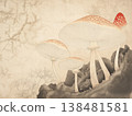 Delicate mushrooms with thin stems  138481581