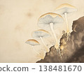 White mushrooms on a earthy background 138481670