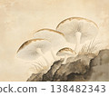Mushrooms on the mountain 138482343