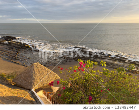 Beach view with rocks and flowers in morning light Beach view with rocks and flowers in morning light 138482447