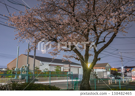 Cherry blossoms in full bloom and a full moon hidden behind clouds in Okayama City, Okayama Prefecture, Japan. Cherry blossoms in full bloom and a full moon hidden behind clouds in Okayama City, Okayama Prefecture, Japan. 138482465