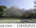 Weeping cherry tree 79 138482628