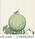 Green pumpkin on vintage background 138482895