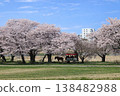 A horse-drawn carriage makes its way through a row of cherry trees in full bloom at Kitakami Tenshochi Park. 138482988