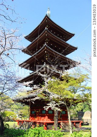 Kanonaga-ji Temple Kanonaga-ji Temple 138483019