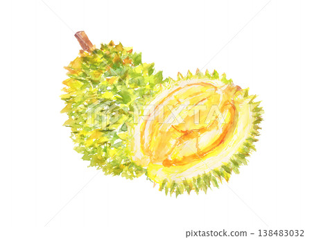 榴槤水彩插畫 138483032