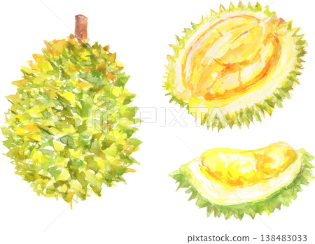 榴槤水彩插圖（向量圖） 138483033