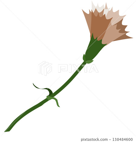 一朵簡單的棕色康乃馨插圖 138484600
