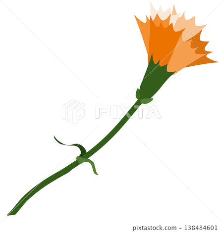 一幅簡單的橘色康乃馨插圖。 一幅簡單的橘色康乃馨插圖。 138484601