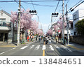 Sakura-dori 2026, Fuchu City, Tokyo (corner of K-DIMOA apartment building) 138484651