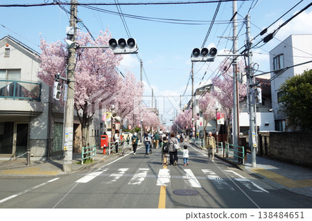 Sakura-dori 2026, Fuchu City, Tokyo (corner of K-DIMOA apartment building) Sakura-dori 2026, Fuchu City, Tokyo (corner of K-DIMOA apartment building) 138484651