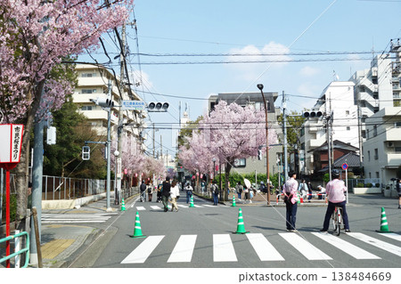 Sakura-dori 2026, Fuchu City, Tokyo (Intersection at the corner of Tokyo Metropolitan Agricultural High School) Sakura-dori 2026, Fuchu City, Tokyo (Intersection at the corner of Tokyo Metropolitan Agricultural High School) 138484669