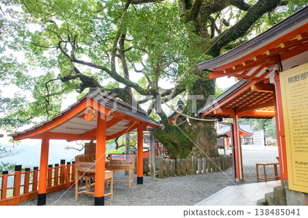 和歌山縣那智樟樹熊野那智大社 138485041