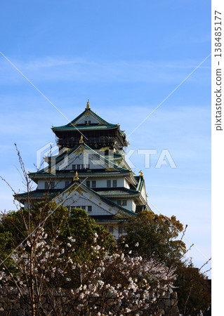 A spectacular sight: cherry blossoms in full bloom and Osaka Castle's main tower. A castle associated with Toyotomi Hideyoshi. 138485177