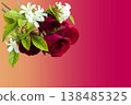 red rose and jasmine flowers arrangement flat lay postcard style on background red 138485325