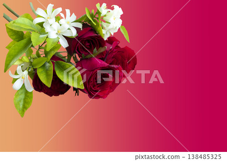 red rose and jasmine flowers arrangement flat lay postcard style on background red red rose and jasmine flowers arrangement flat lay postcard style on background red 138485325