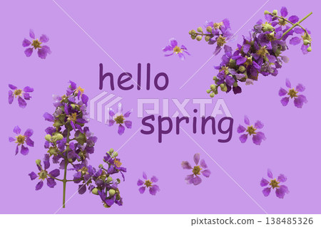 hello spring message card with purple bungor flowers arrangement flat lay postcard style 138485326