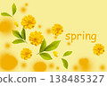 spring message card with yellow flowers cosmos arrangement flat lay postcard style  138485327