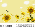 yellow flowers sunflowers with bee bee arrangement flat lay postcard style 138485331
