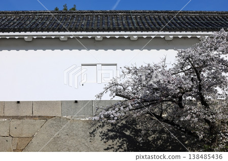 櫻花盛開，映襯著藍天白牆；日式風格，傳統風格。 138485436