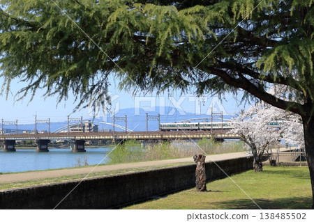 A spring landscape with cherry blossoms in bloom and a railway crossing the Seta River. A spring landscape with cherry blossoms in bloom and a railway crossing the Seta River. 138485502