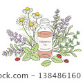 Attracted by the scent of flowers and essential oils, a ladybug came to visit. 138486160