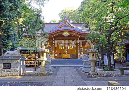 小金井神社(小金井) 小金井神社(小金井) 138486504