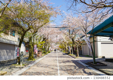 春天前往谷組山華嚴寺的路（岐阜縣伊比川町，伊比郡） 138486552
