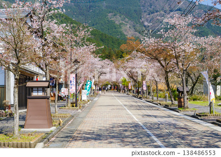 春天前往谷組山華嚴寺的路(岐阜縣伊比川町,伊比郡) 春天前往谷組山華嚴寺的路(岐阜縣伊比川町,伊比郡) 138486553