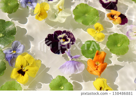 Colorful pansies and asiatic pennyworts floating on shimmering waves. Colorful pansies and asiatic pennyworts floating on shimmering waves. 138486881